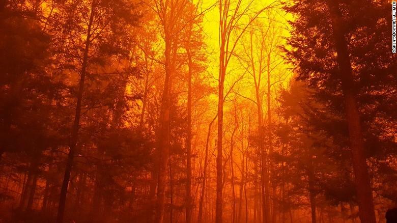 The+wildfire+in+Gatlinburg+burning+down+the+woods.+%28Image+credit+to+CNN%29
